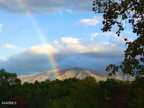2791 Happy Hollow Road Sevierville, TN 37862 - Photo 30 of 31 35