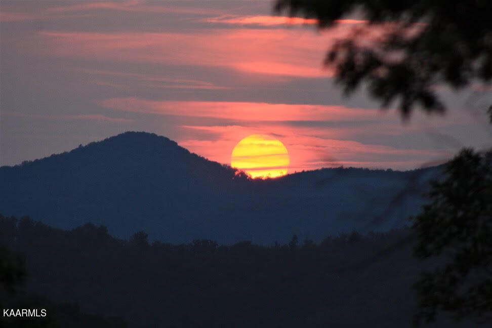 2791 Happy Hollow Road Sevierville, TN 37862 - Photo 31 of 31 36