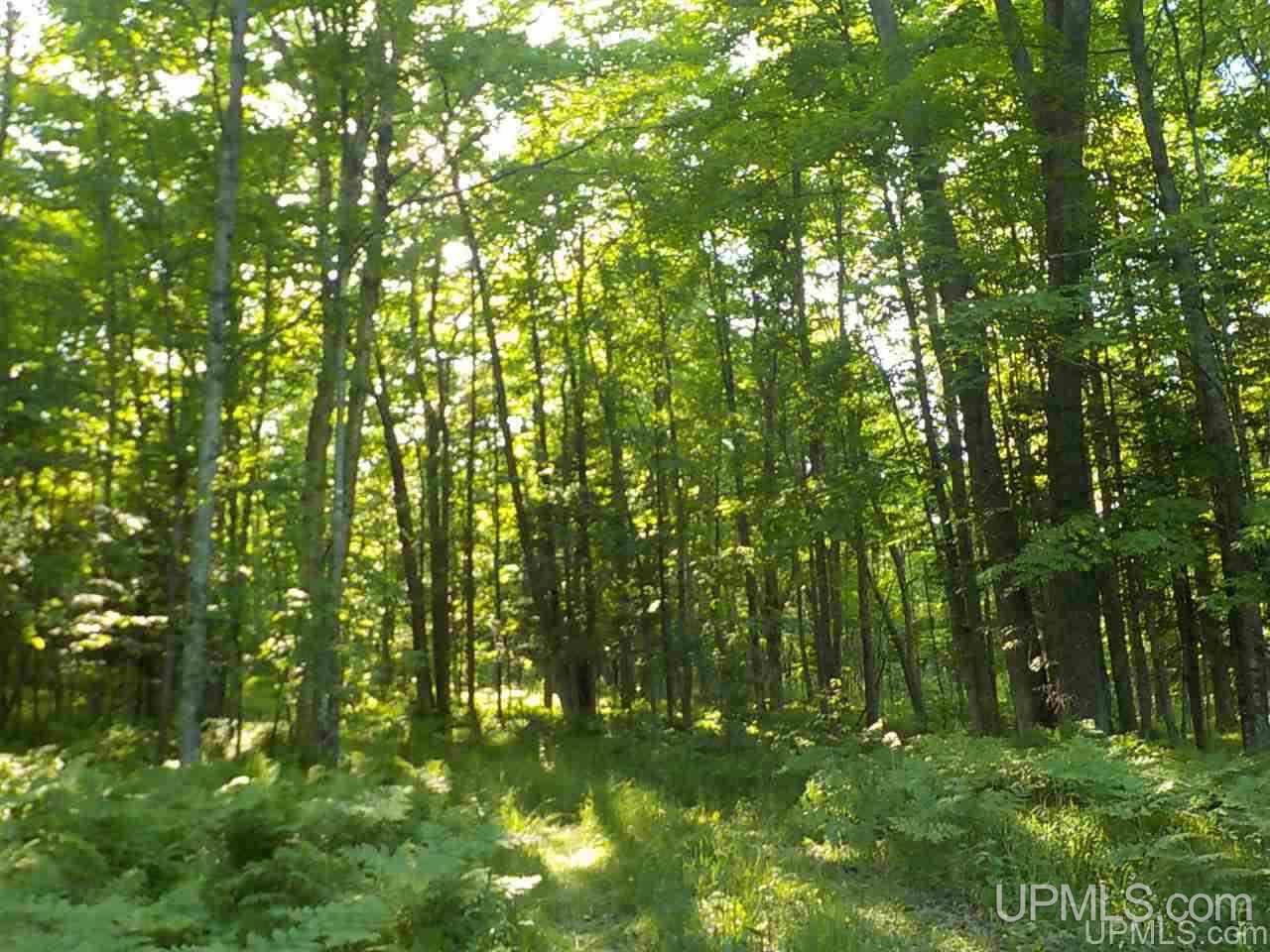 35-ac Sheltrow Road Crystal Falls, MI 49920 - Photo 18 of 23