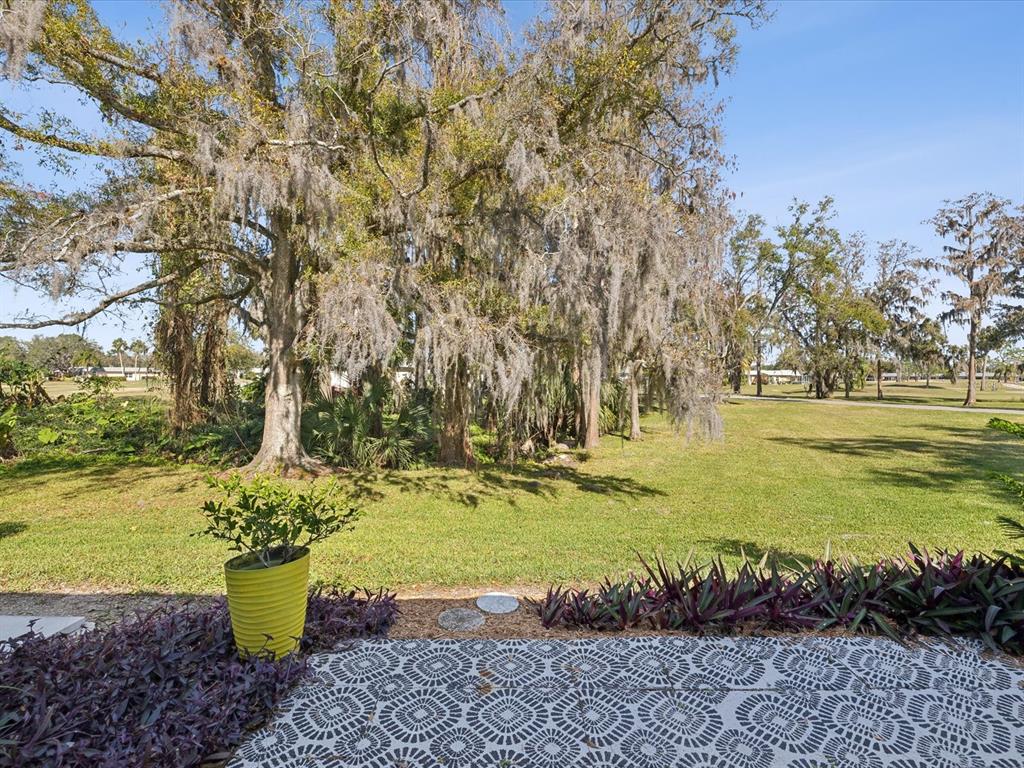 3717 Trophy Boulevard New Port Richey, FL 34655 - Photo 23 of 35 a view of a water fountain in a yard
