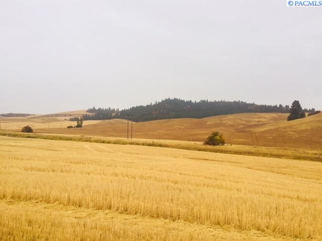 Nna Palouse Cove Road Palouse, WA 99161 - Photo 1 of 1 Gallery Image 1