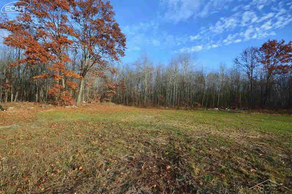 0 O Obrien Road Vassar, MI 48768 - Photo 6 of 6