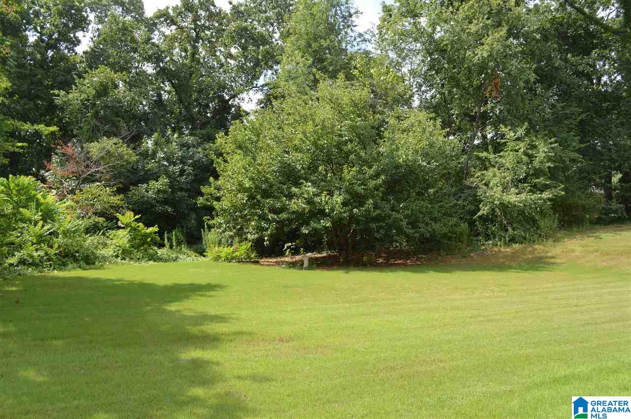 6131 Knob Knoster Road, Unit 4 2 ACRES Pinson, AL 35126 - Photo 1 of 1