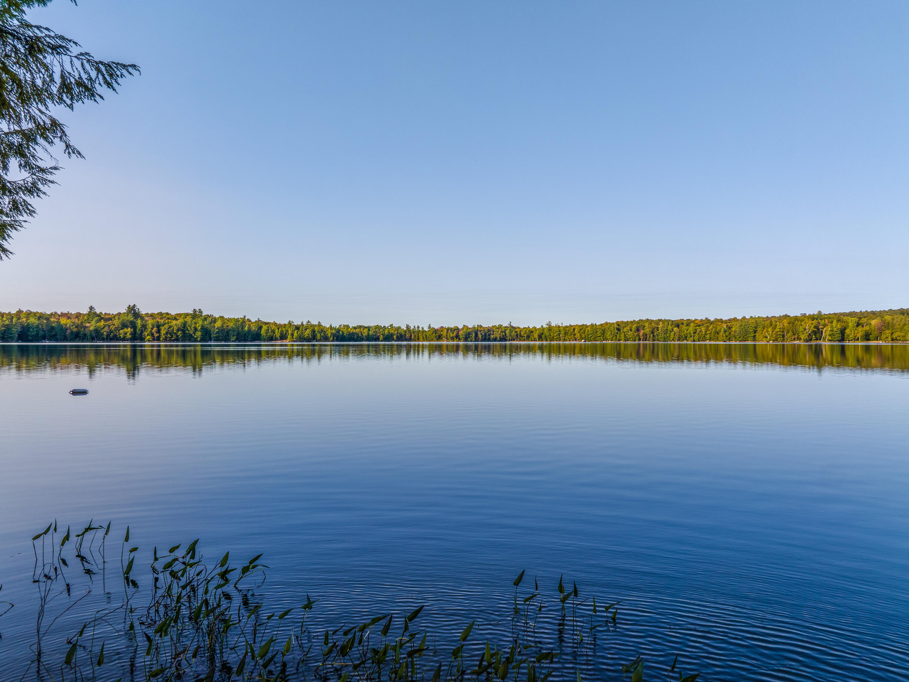 36 Gull Pond Road Tupper Lake, NY 12986 - Photo 61 of 61 36 Gull Pond Rd-24