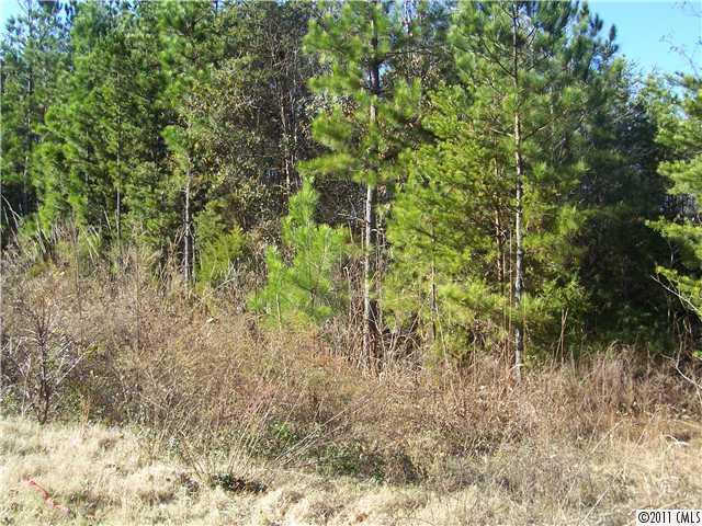 2014 Gold Hill Road Fort Mill, SC 29708 - Photo 3 of 9 a view of a forest