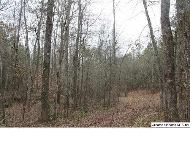 523 Pine Road, Unit 30 ACRES Daviston, AL 36256 - Photo 6 of 9