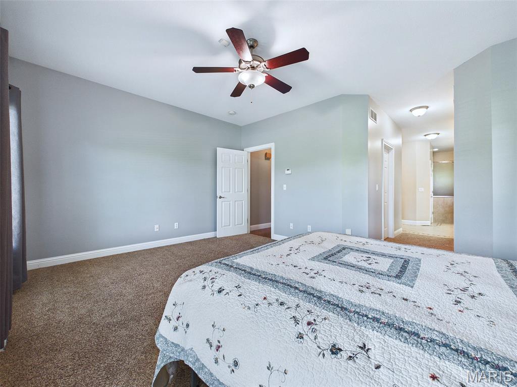 1751 Elizabeth Road Staunton, IL 62088 - Photo 32 of 67