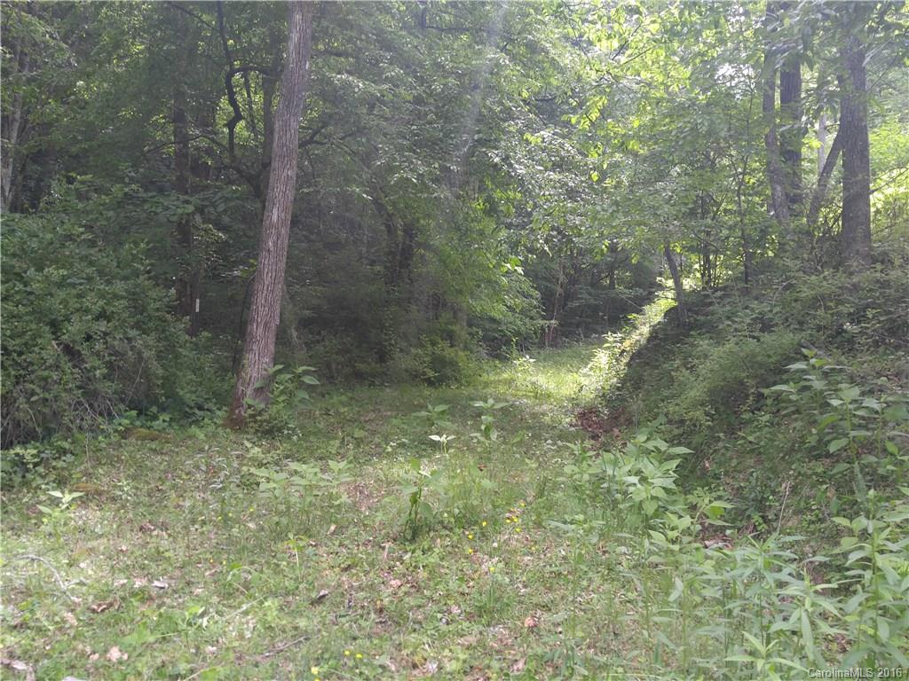 374 Roy Tritt Road Cullowhee, NC 28723 - Photo 3 of 9 Gallery Image 3