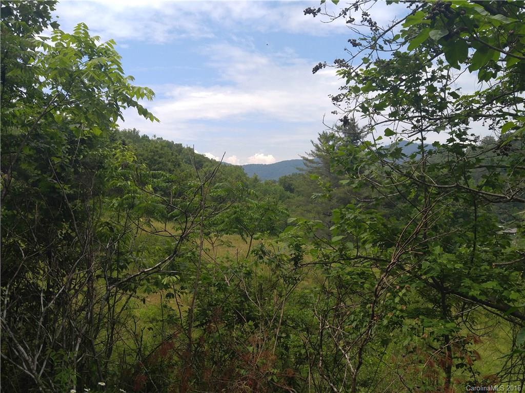 374 Roy Tritt Road Cullowhee, NC 28723 - Photo 5 of 9 Gallery Image 5