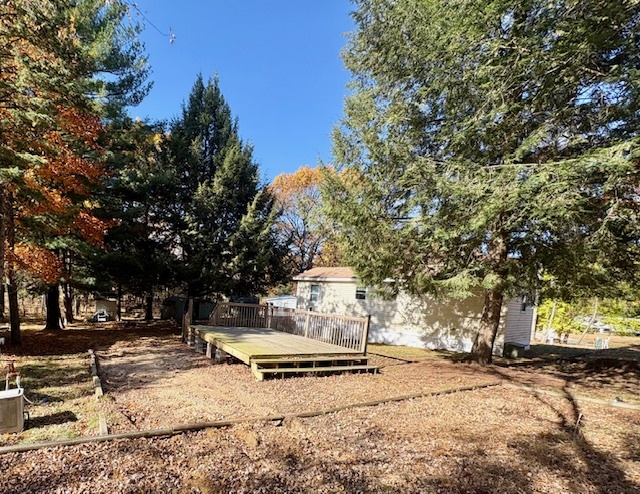 a view of a yard with trees