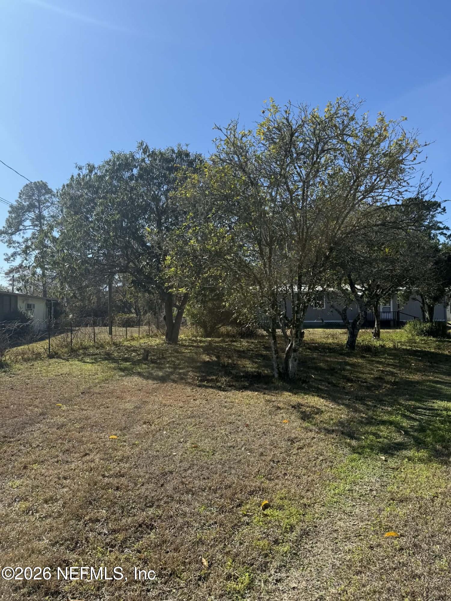 133 Sportsman Road Satsuma, FL 32189 - Photo 32 of 45 a view of a yard with trees