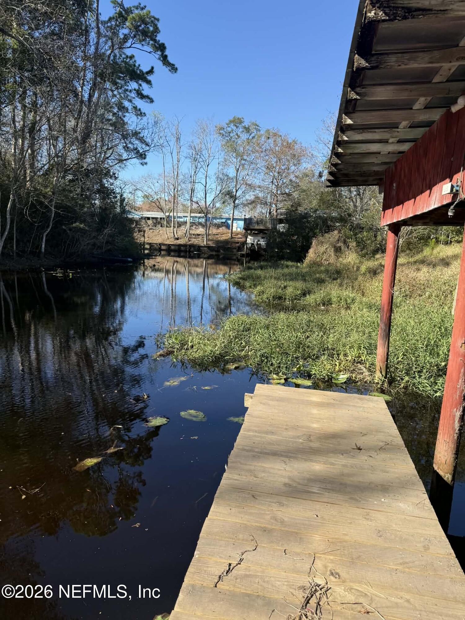 133 Sportsman Road Satsuma, FL 32189 - Photo 39 of 45 a view of a backyard of the house