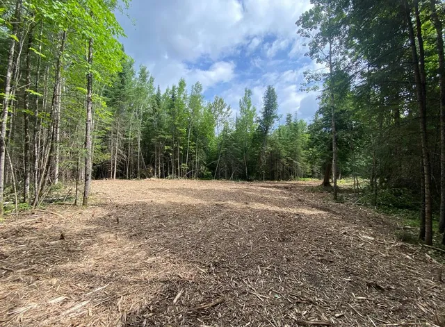 $149,900 | 35 Lake Jessie Twp Mn 56636, Deer River, MN 56636