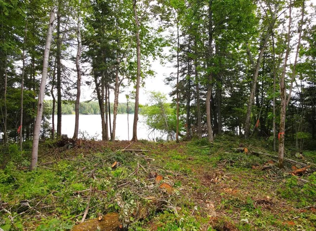 $149,900 | 35 Lake Jessie Twp Mn 56636, Deer River, MN 56636