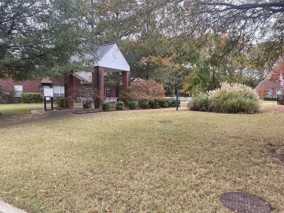 6031 Grayce Drive Bartlett, TN 38134 - Photo 25 of 31 a front view of a house with a yard and trees