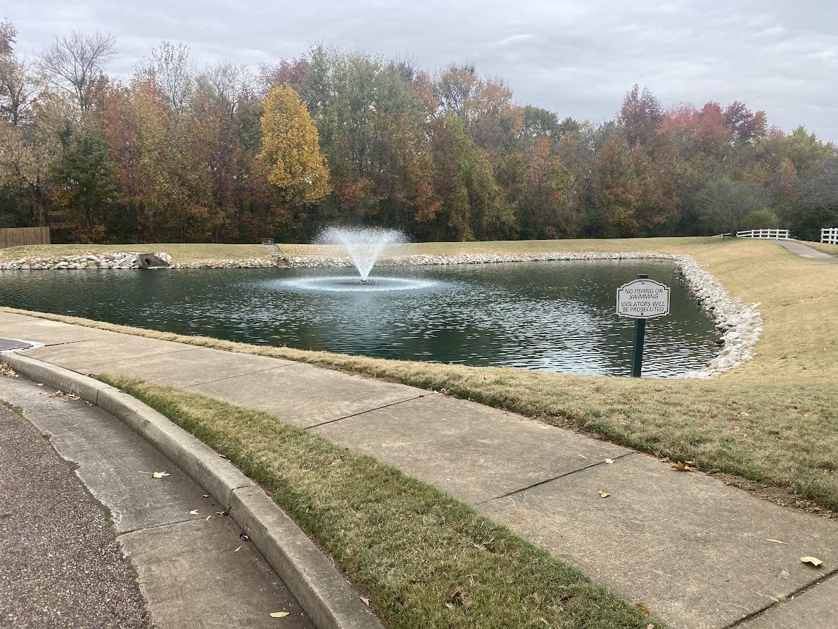 6031 Grayce Drive Bartlett, TN 38134 - Photo 26 of 31 a view of a park