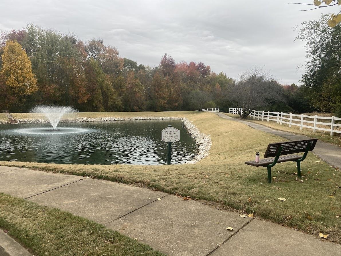 6031 Grayce Drive Bartlett, TN 38134 - Photo 27 of 31 a view of a lake with a yard and a wooden fence