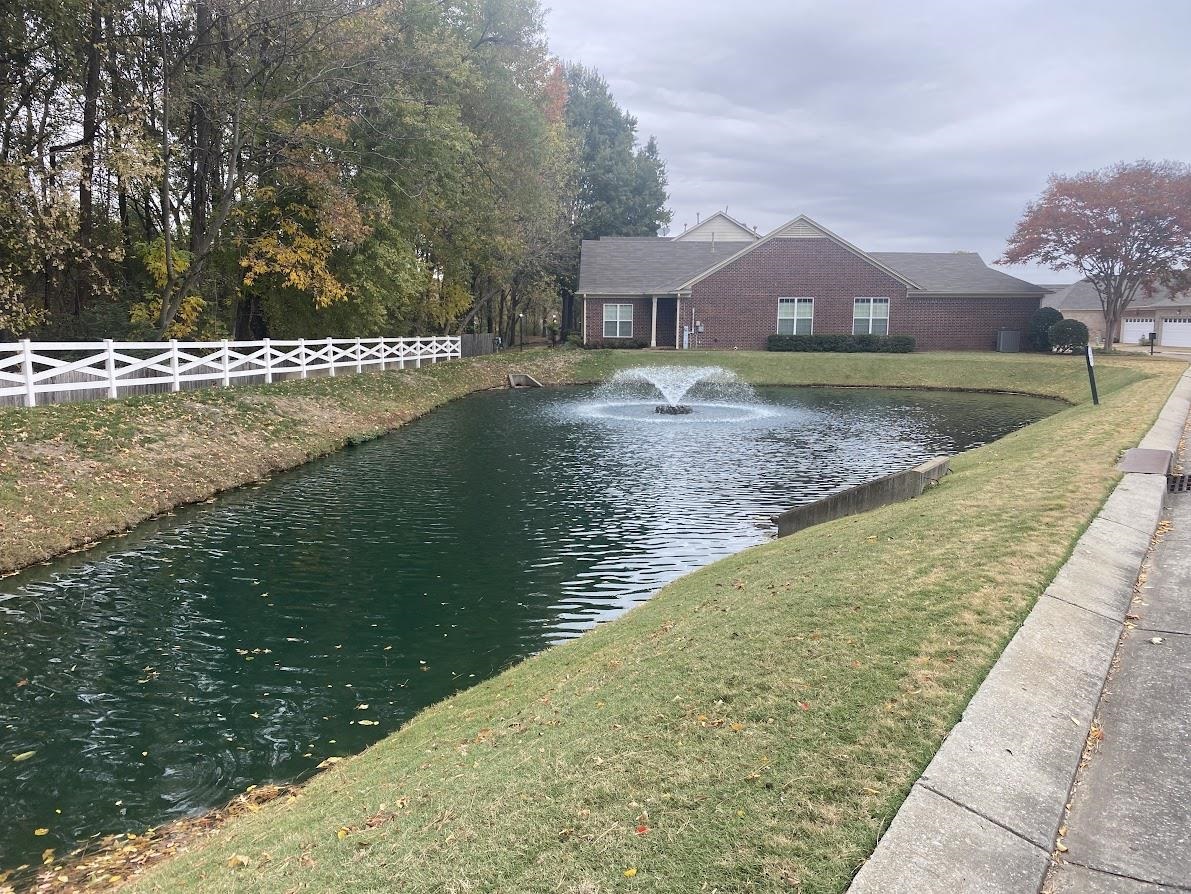 6031 Grayce Drive Bartlett, TN 38134 - Photo 28 of 31 a view of swimming pool with a yard and large tree
