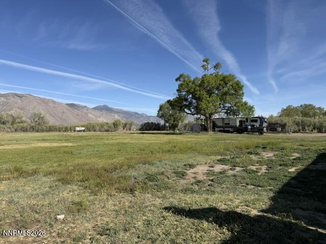 61 Rivers Road Smith, NV 89430 - Photo 44 of 57 a view of a field with an trees