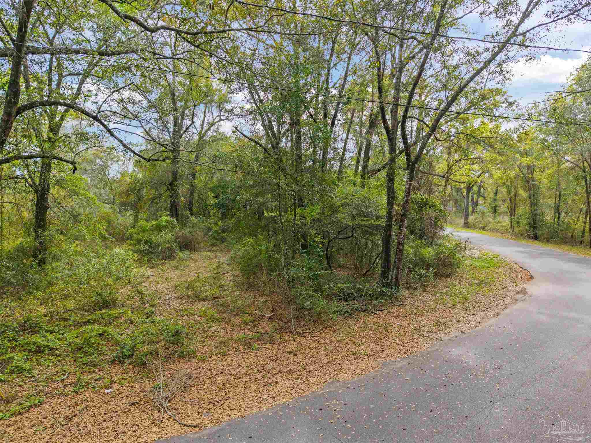 7725 Elrod Road Milton, FL 32583 - Photo 3 of 16 a view of a forest filled with trees