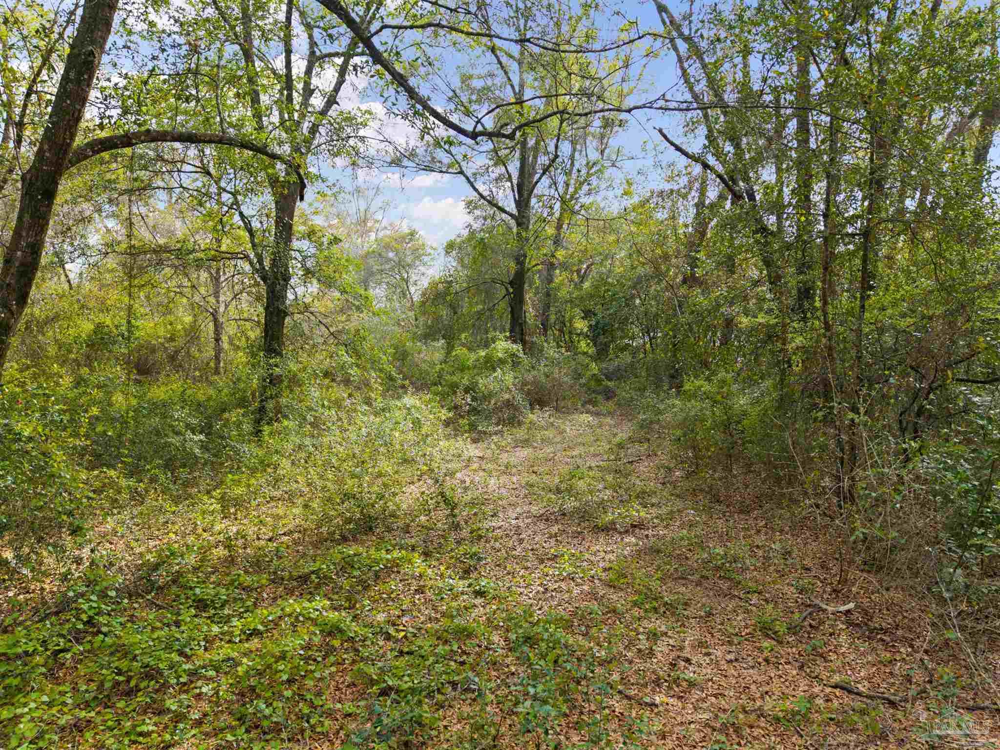 7725 Elrod Road Milton, FL 32583 - Photo 4 of 16 a view of a yard with large trees