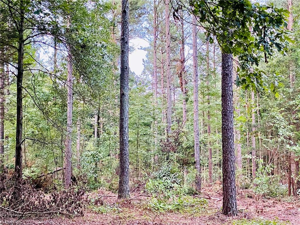 0 Hancock Road Star, NC 27356 - Photo 14 of 19