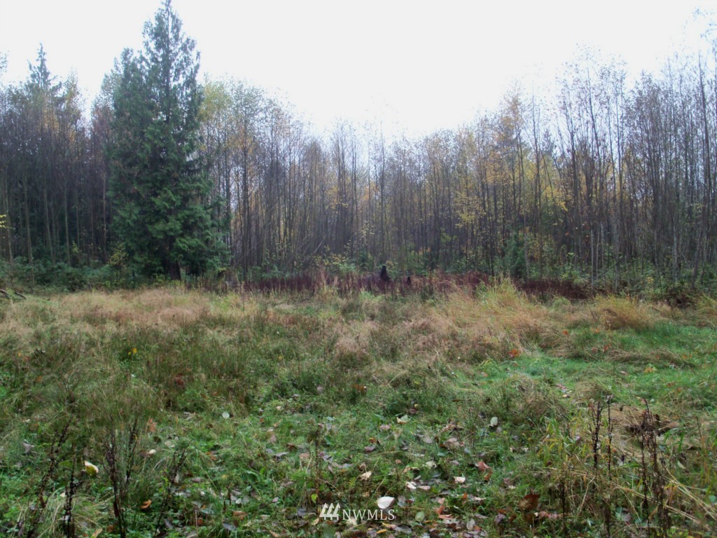 -xxx Tronson Road Arlington, WA 98223 - Photo 1 of 1 Gallery Image 1