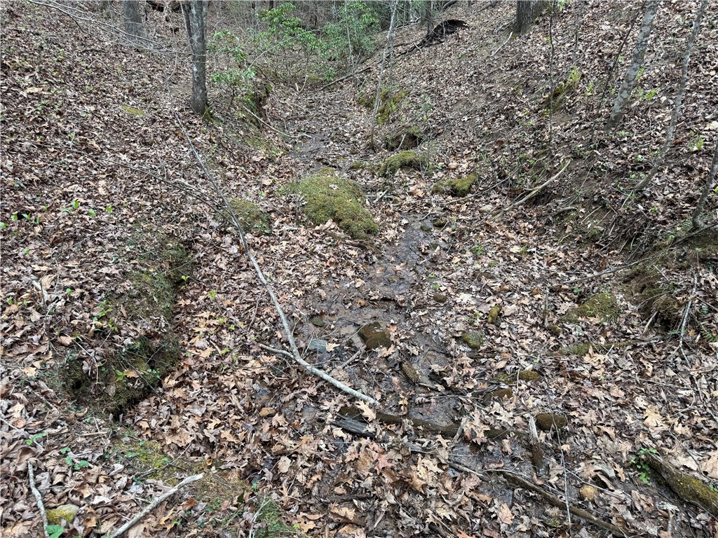 45 Emerald Crest Lane Cleveland, SC 29635 - Photo 11 of 14