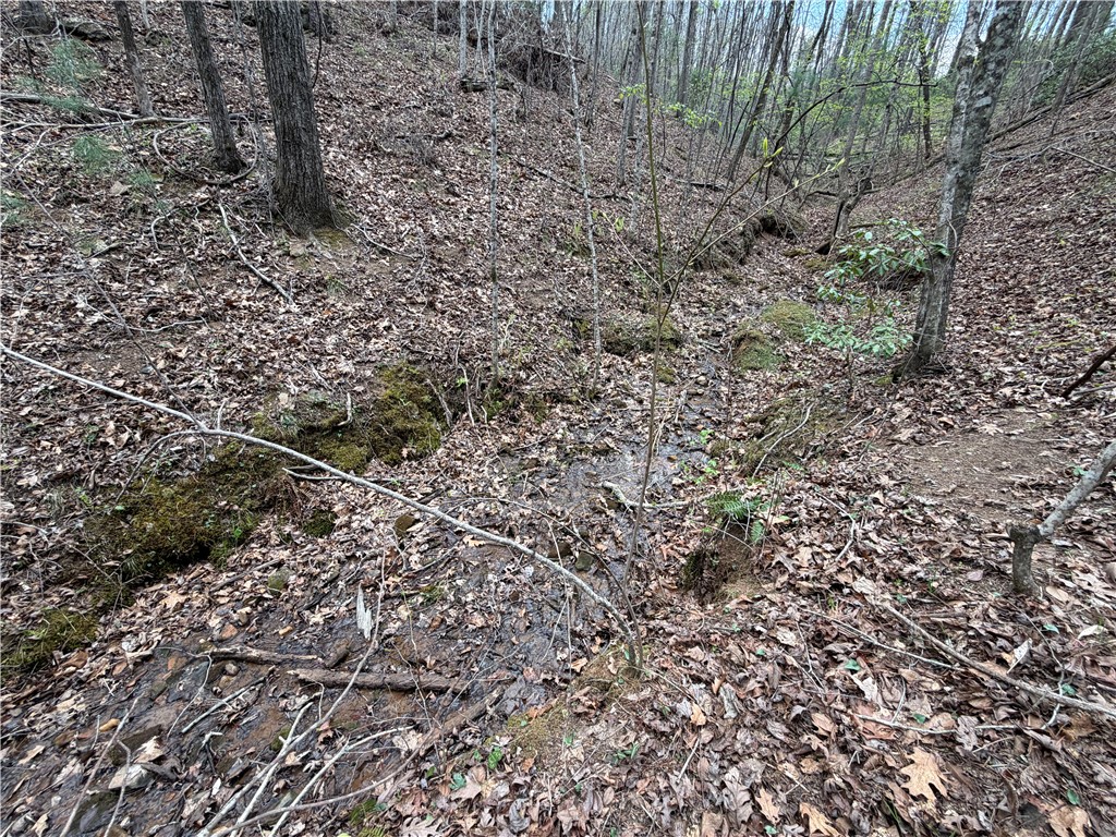 45 Emerald Crest Lane Cleveland, SC 29635 - Photo 12 of 14