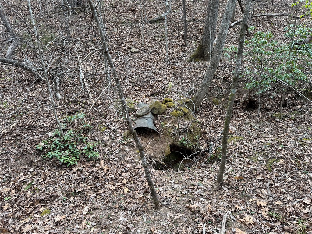 45 Emerald Crest Lane Cleveland, SC 29635 - Photo 13 of 14