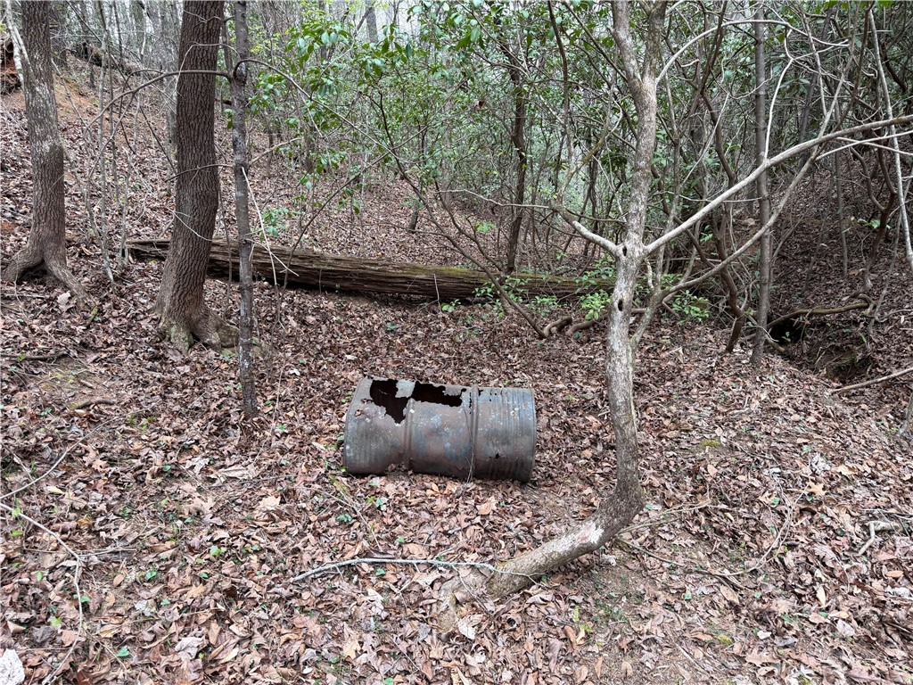 45 Emerald Crest Lane Cleveland, SC 29635 - Photo 14 of 14