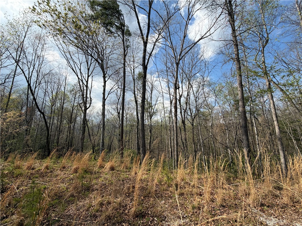 45 Emerald Crest Lane Cleveland, SC 29635 - Photo 3 of 14