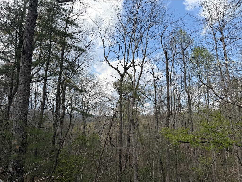 45 Emerald Crest Lane Cleveland, SC 29635 - Photo 4 of 14