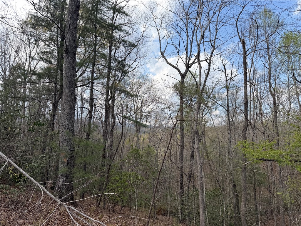 45 Emerald Crest Lane Cleveland, SC 29635 - Photo 5 of 14