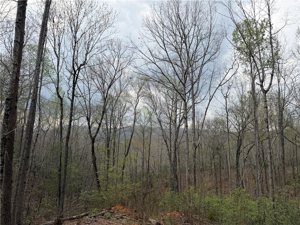 45 Emerald Crest Lane Cleveland, SC 29635 - Photo 6 of 14