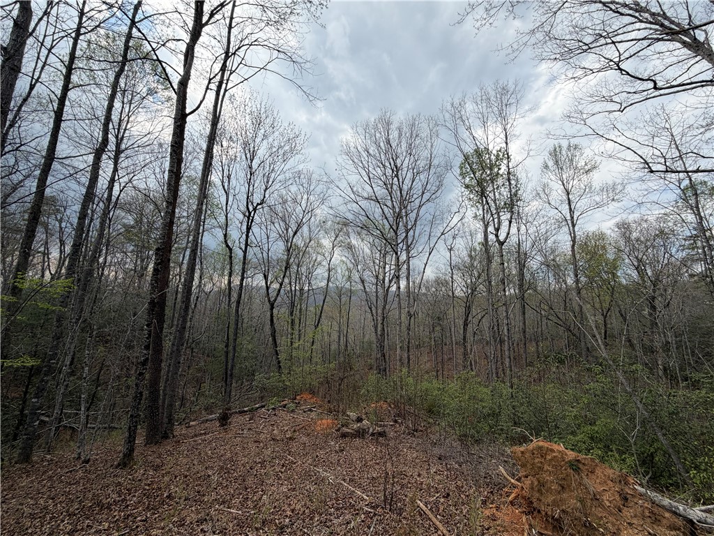 45 Emerald Crest Lane Cleveland, SC 29635 - Photo 7 of 14