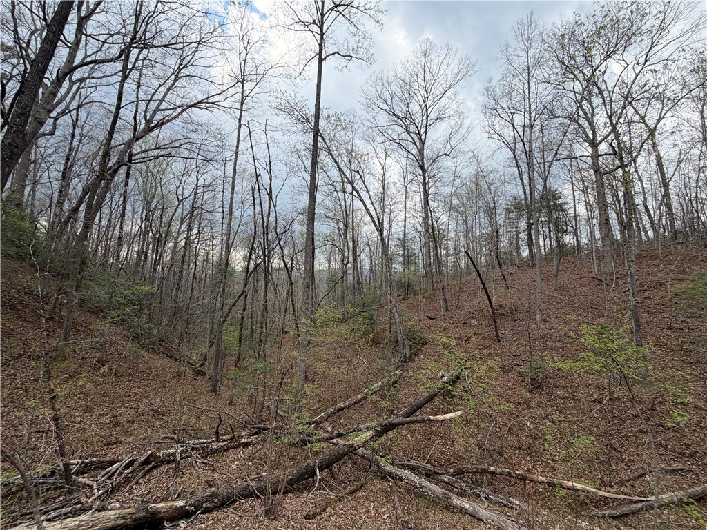 45 Emerald Crest Lane Cleveland, SC 29635 - Photo 8 of 14