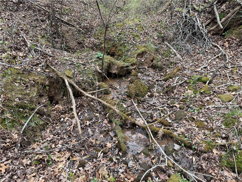 45 Emerald Crest Lane Cleveland, SC 29635 - Photo 9 of 14
