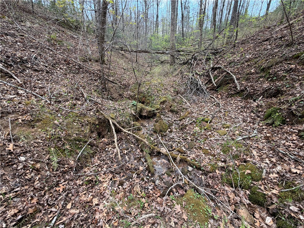 45 Emerald Crest Lane Cleveland, SC 29635 - Photo 10 of 14