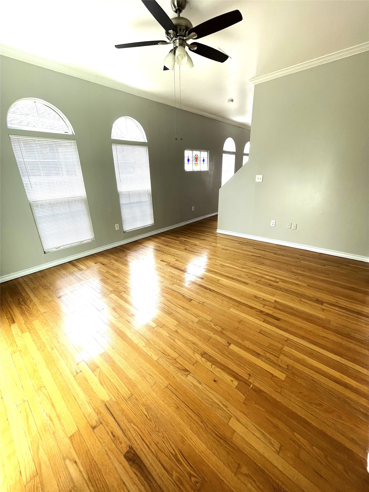 4122 Drake Street, Unit 1/2 Houston, TX 77005 - Photo 6 of 24