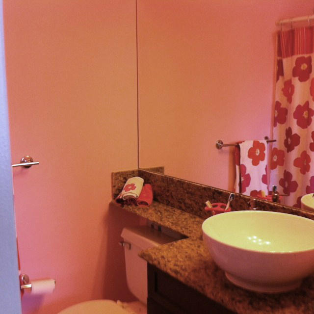 1068 Jeffery Street Boca Raton, FL 33487 - Photo 12 of 13 a bathroom with a granite countertop sink and a mirror