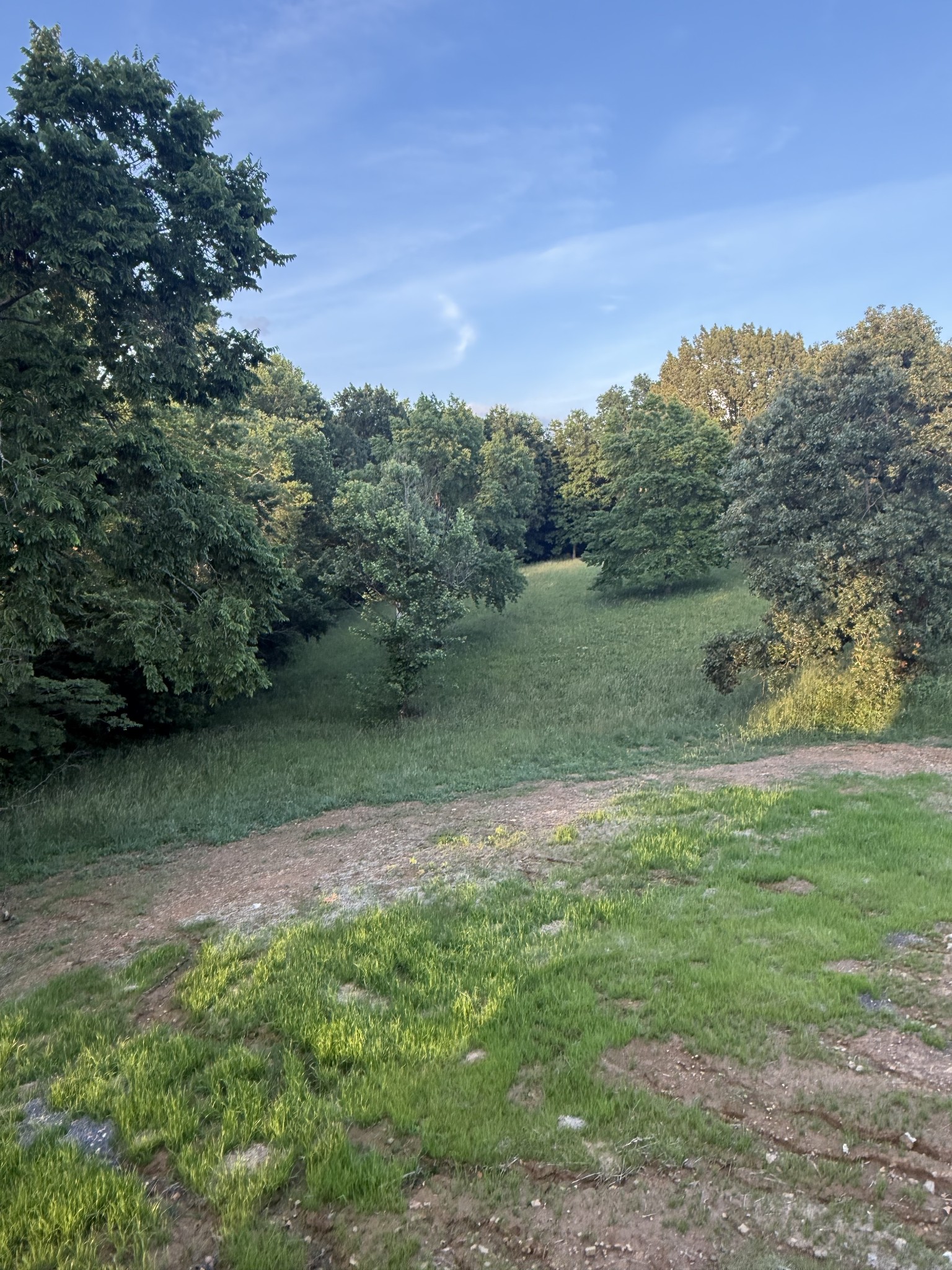 1615 Carthage Road Red Boiling Springs, TN 37150 - Photo 3 of 14 a backyard of a house with lots of green space