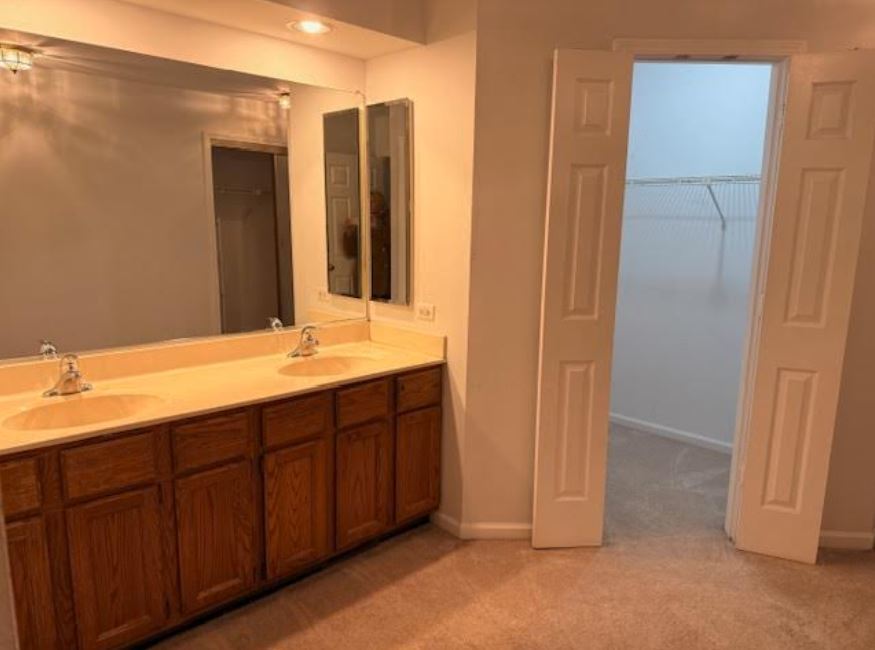 357 Indian Point Lake Barrington, IL 60010 - Photo 8 of 14 a bathroom with a double vanity sink and a mirror