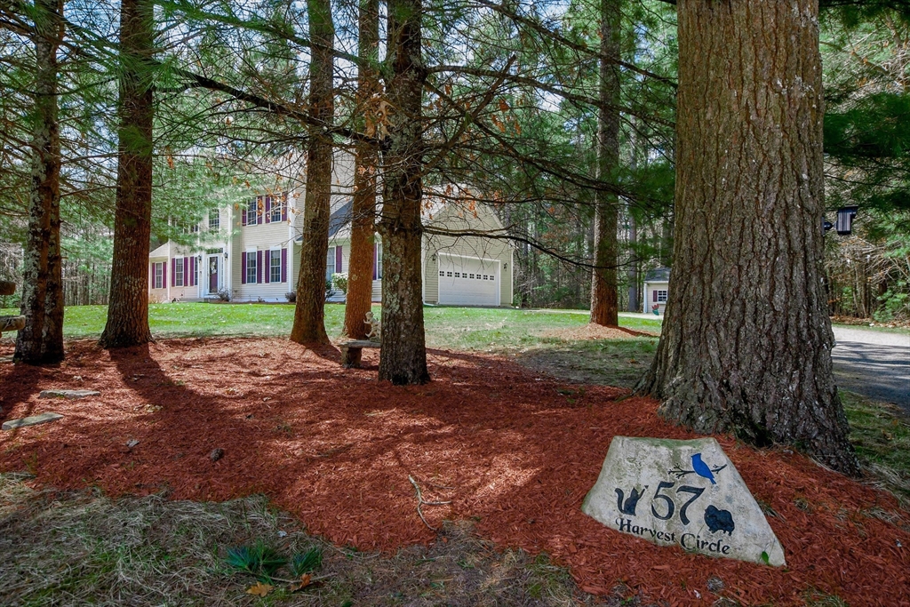 57 Harvest Circle Wareham, MA 02576 - Photo 4 of 39 a view of a yard with plants and a tree