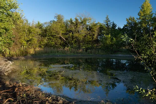 a view of lake with green space