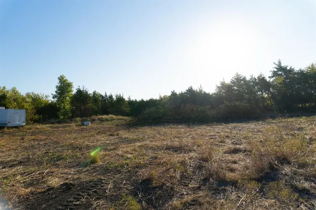 a view of dirt field and trees