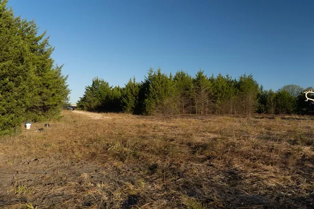 a view of a field with trees in background