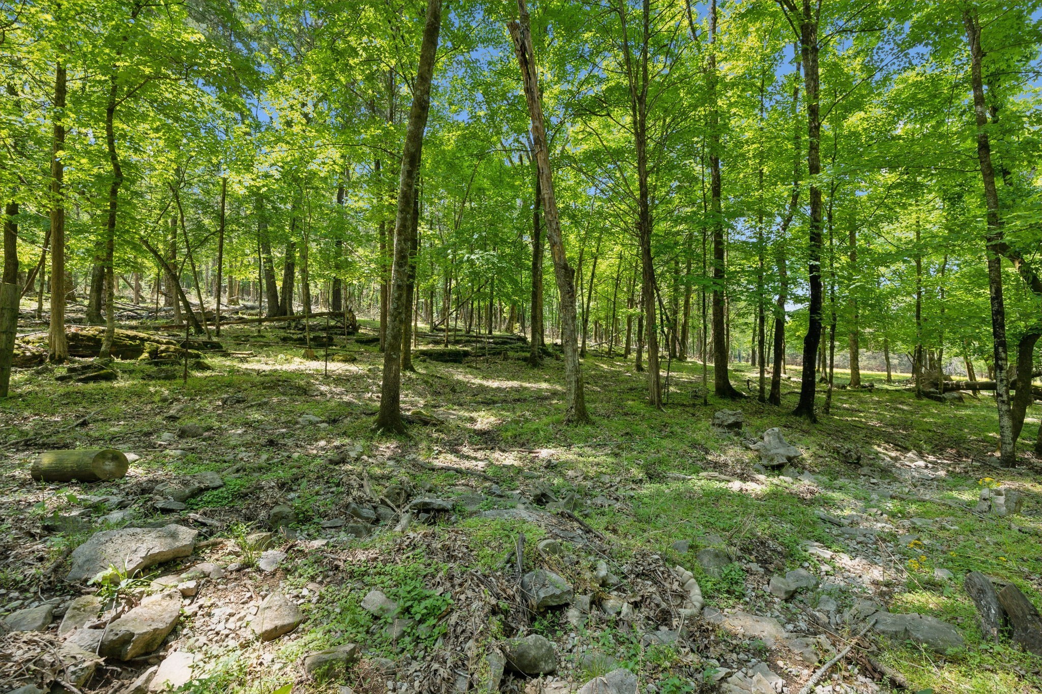 1494 Grant Road Watertown, TN 37184 - Photo 17 of 95
