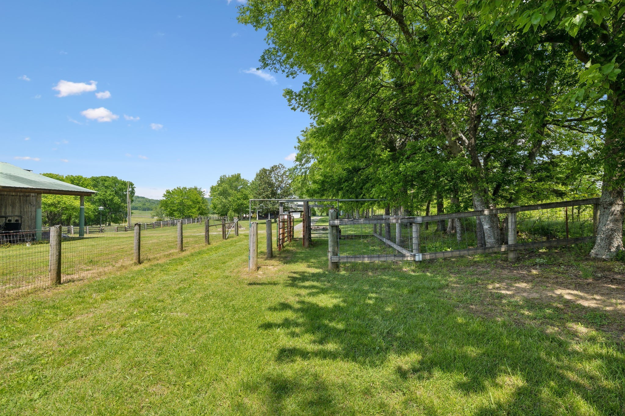 1494 Grant Road Watertown, TN 37184 - Photo 25 of 95 a swimming pool with outdoor space and trees in the background