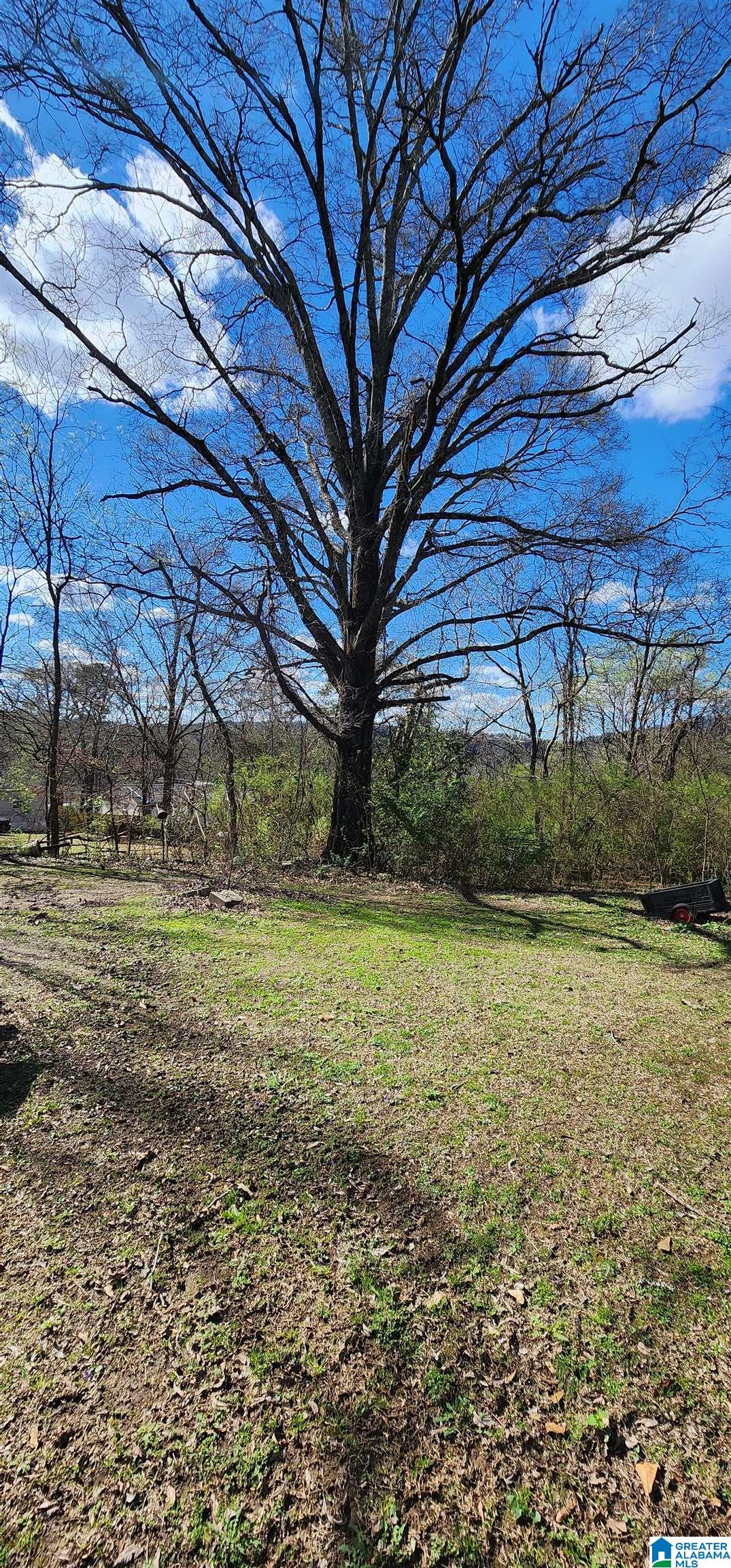 608 A Street South Oneonta, AL 35121 - Photo 19 of 28